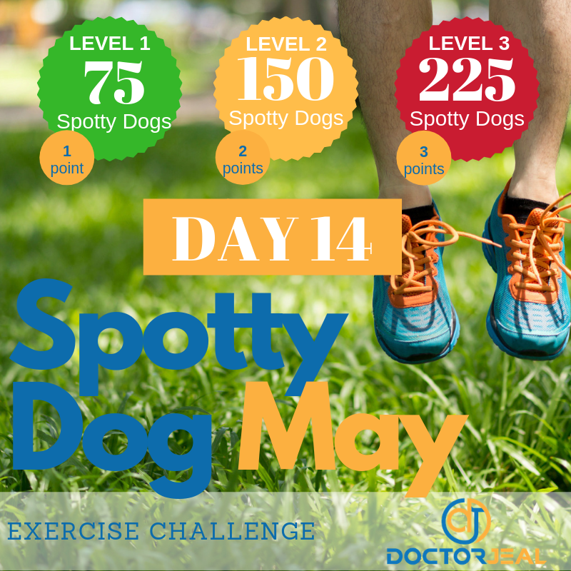 Spotty Dog May Challenge Targets - Day 14