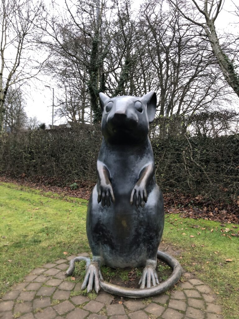 Mouse on the Poets Path at Stage 5 of the Robert Burns to Greenan Castle Walk loop