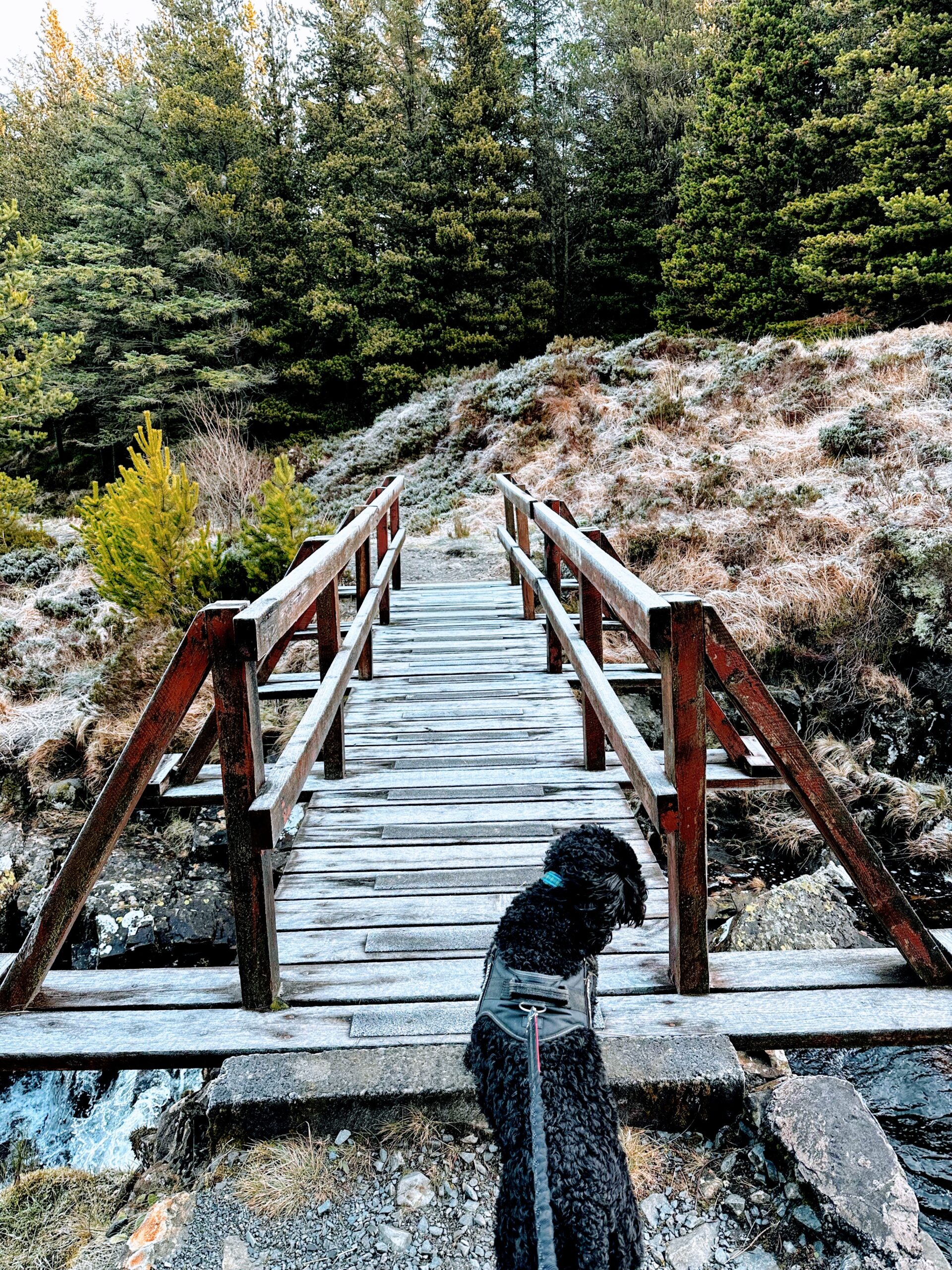 Footbridge